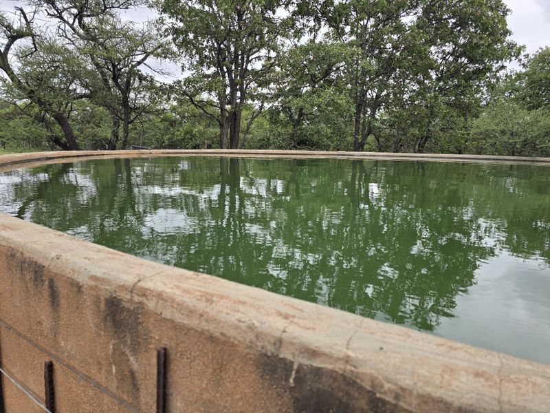 2973Ha Game & Cattle Farm for Sale | Musina / Alldays Area - Photo 6