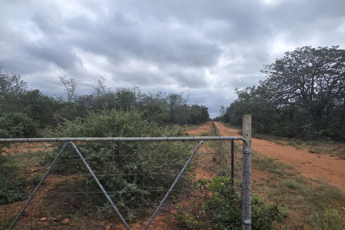 2973Ha Game & Cattle Farm for Sale | Musina / Alldays Area - Photo 4