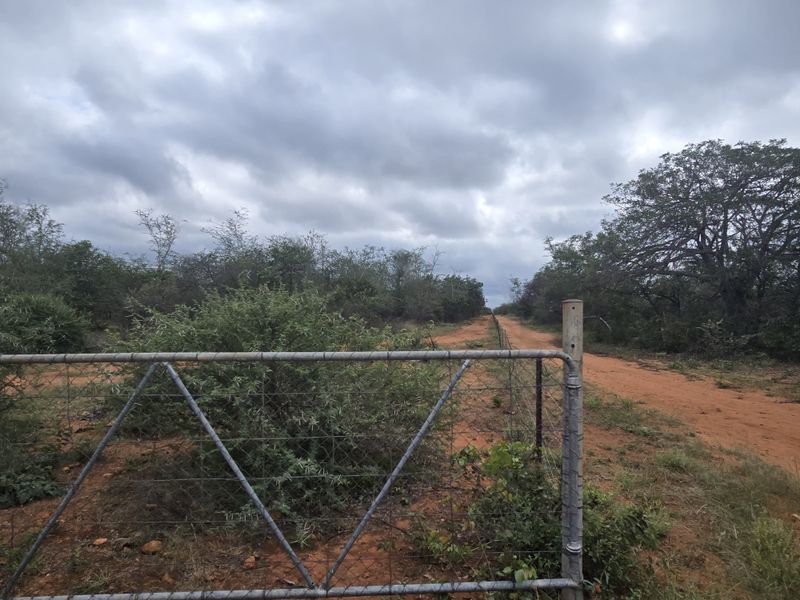 2973Ha Game & Cattle Farm for Sale | Musina / Alldays Area - Photo 4