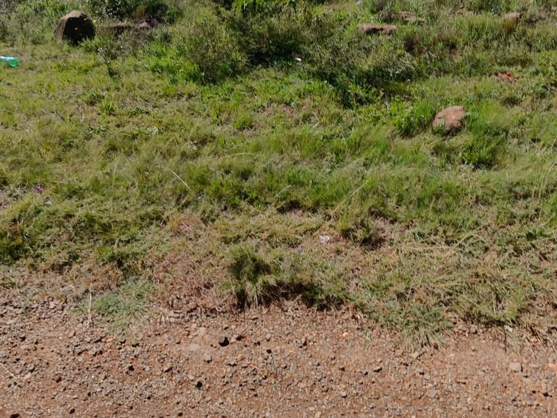 Double Story Home In Process With Approved Building Plans Can Be Yours Today. - Photo 1