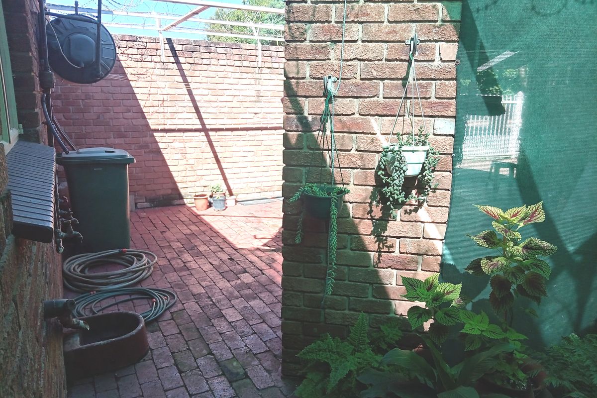 A private rear courtyard area featuring brick paving, a brick boundary wall, and a metal frame structure for shade or climbing plants.