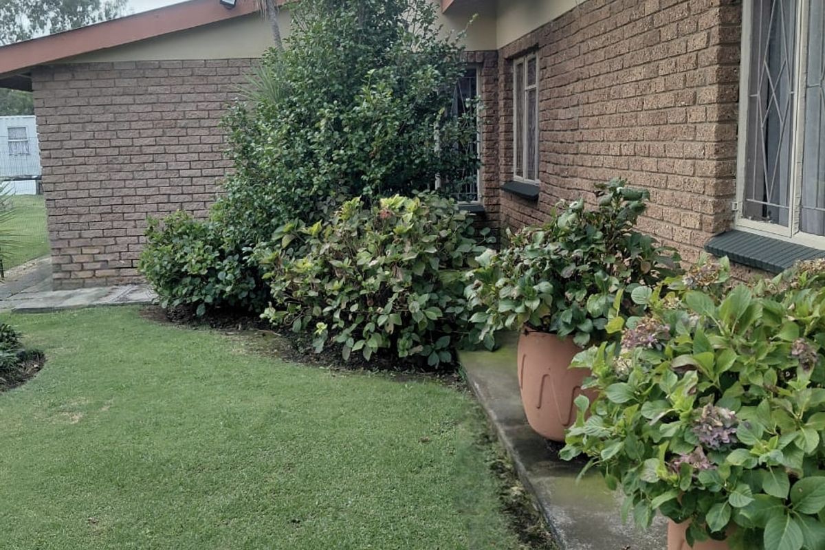 Spacious Family Home with Granny Flat in Peaceful Oranjeville - Photo 4