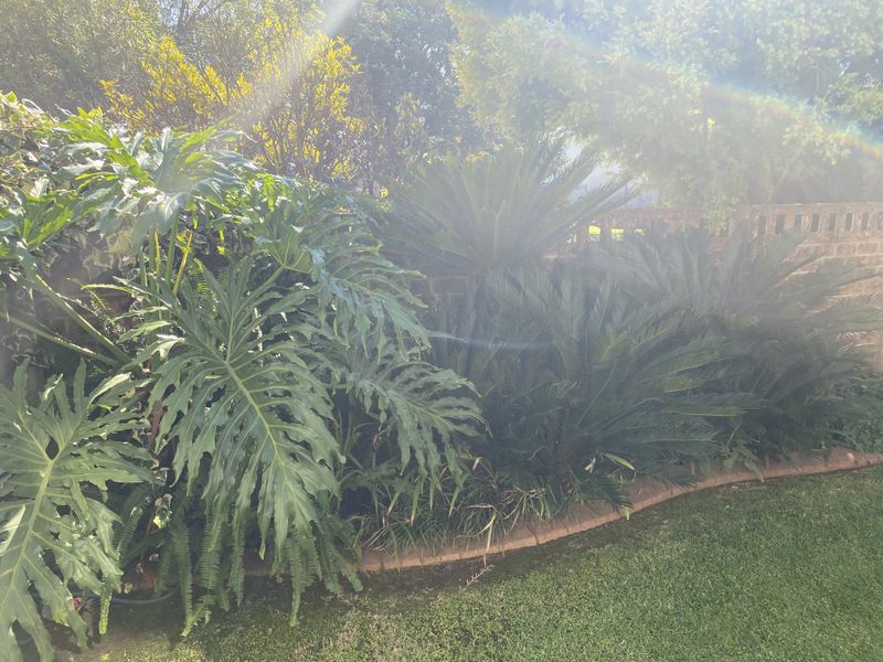 3 Bedroom Duplex In Benoni - Photo 9