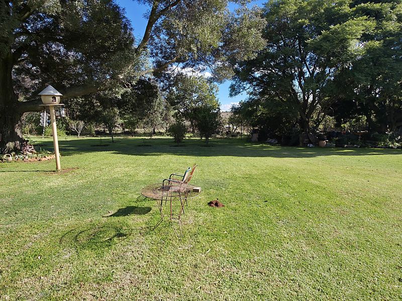 Exceptional 2-Hectare Smallholding with Multiple Dwellings and Scenic Views - Photo 7