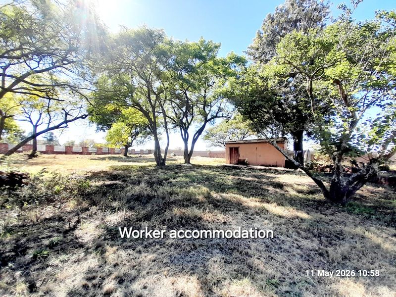 12.85 hectare - Two meter perimeter wall  and Electric fence - Photo 6