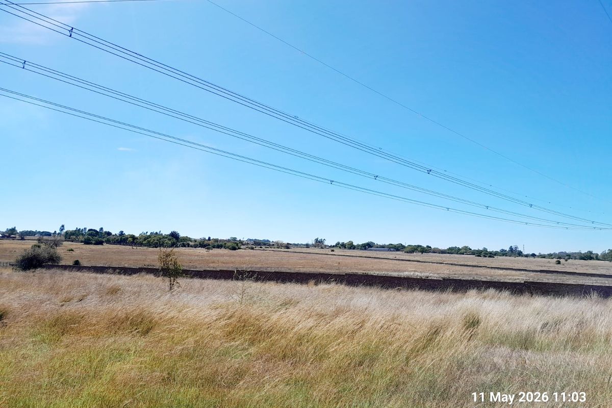 12.85 hectare - Two meter perimeter wall  and Electric fence - Photo 4