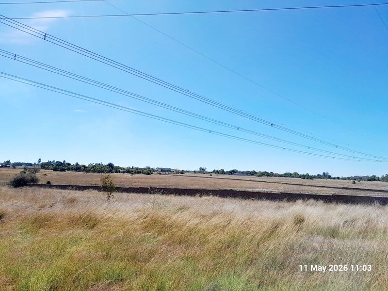 12.85 hectare - Two meter perimeter wall  and Electric fence - Photo 4