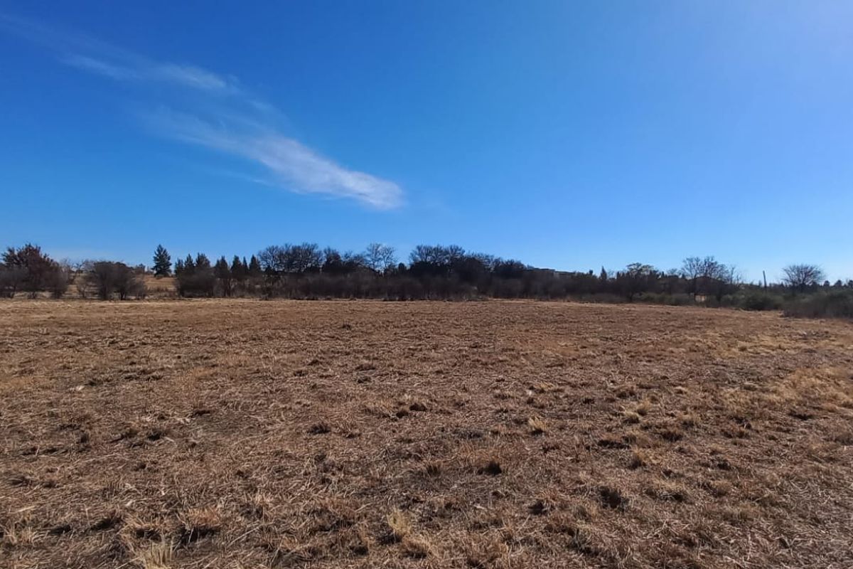 Magical Piece Of Land On The Vaalriver In Vaalview Can Be Yours Today - Photo 4