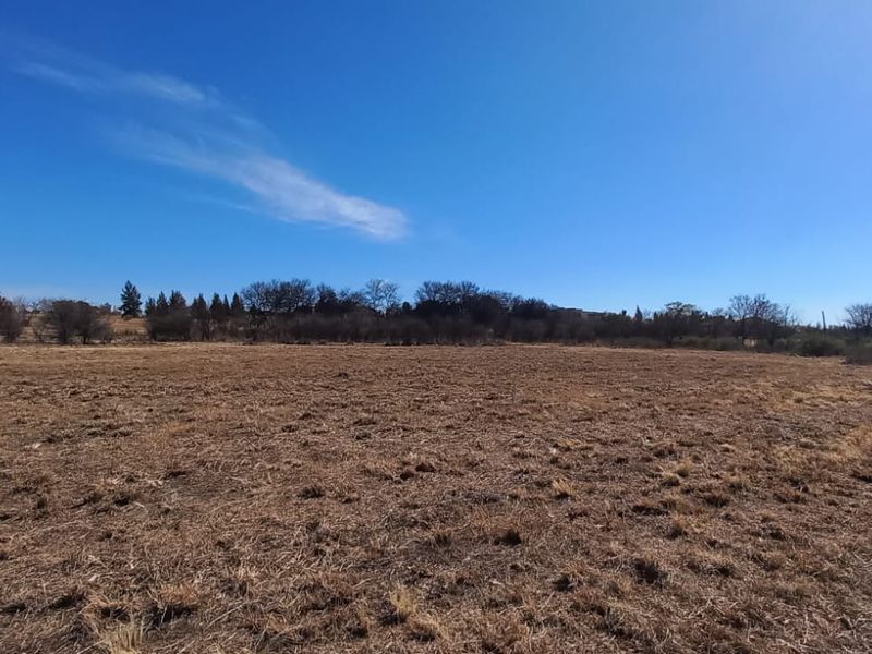 Magical Piece Of Land On The Vaalriver In Vaalview Can Be Yours Today - Photo 4