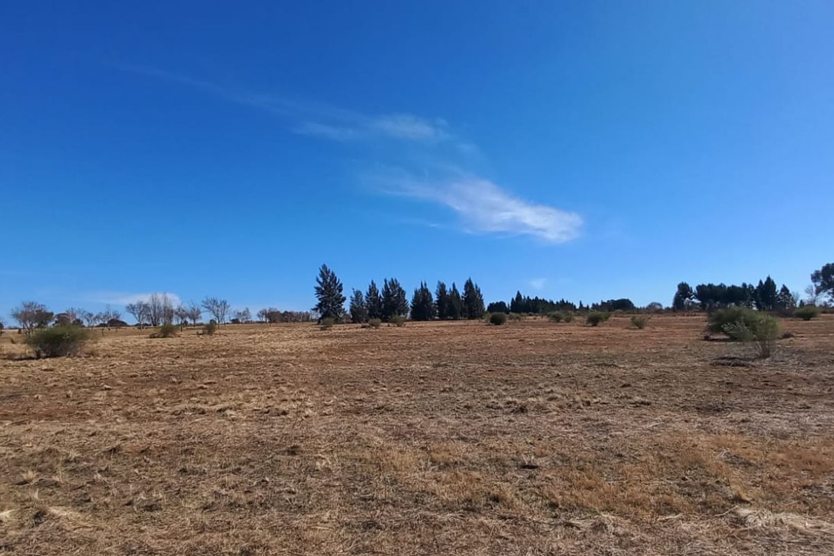 Magical Piece Of Land On The Vaalriver In Vaalview Can Be Yours Today - Photo 2