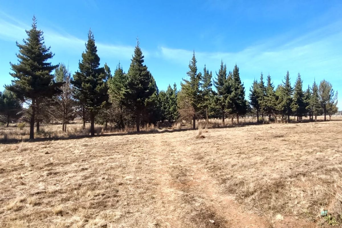 Magical Piece Of Land On The Vaalriver In Vaalview Can Be Yours Today - Photo 5