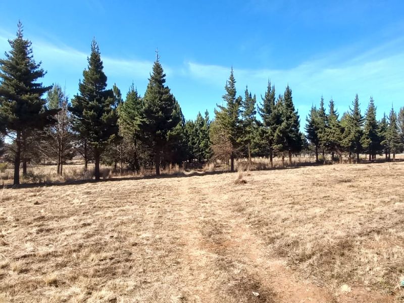 Magical Piece Of Land On The Vaalriver In Vaalview Can Be Yours Today - Photo 5