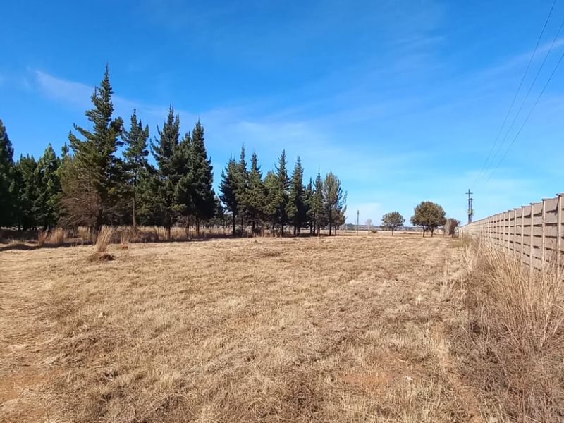 Magical Piece Of Land On The Vaalriver In Vaalview Can Be Yours Today - Photo 8