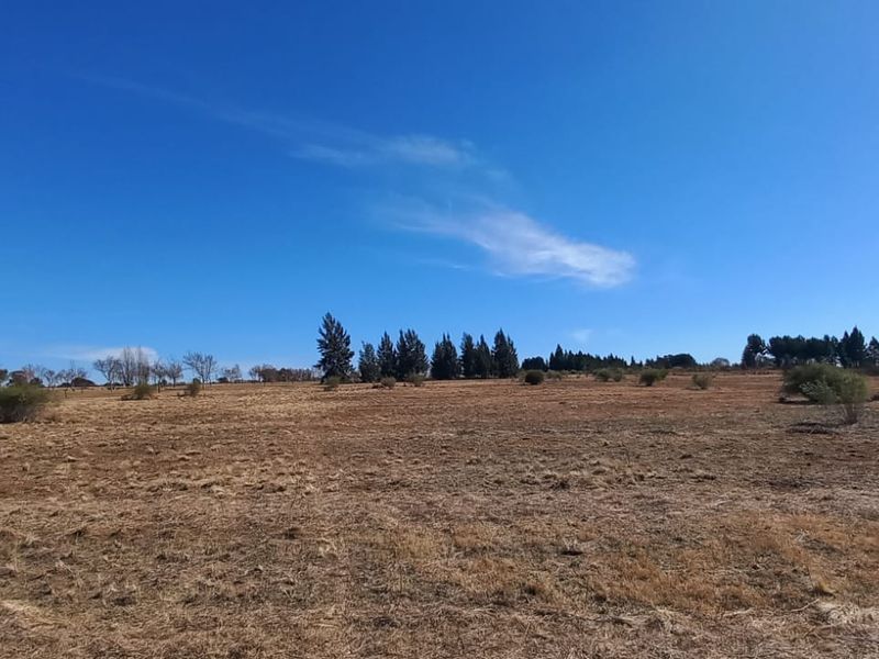 Magical Piece Of Land On The Vaalriver In Vaalview Can Be Yours Today - Photo 7
