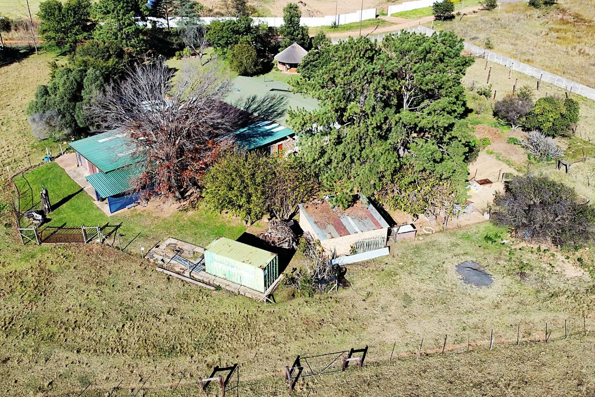 PREMIER COUNTRY ESTATE & AGRI-OPPORTUNITY - Photo 5