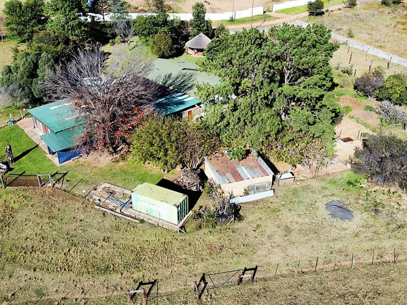 PREMIER COUNTRY ESTATE & AGRI-OPPORTUNITY - Photo 5