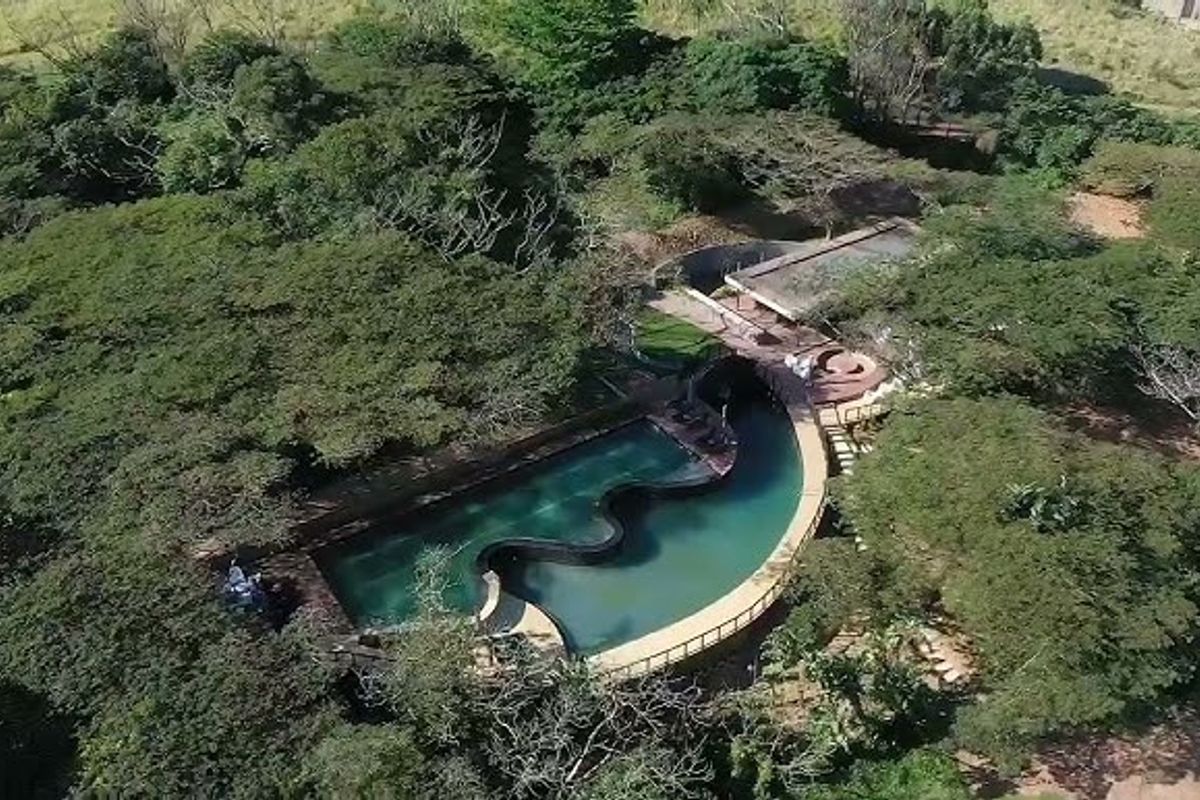 Aerial view of a unique, curved swimming pool set within a lush, wooded landscape, featuring integrated stone decking and natural surroundings.