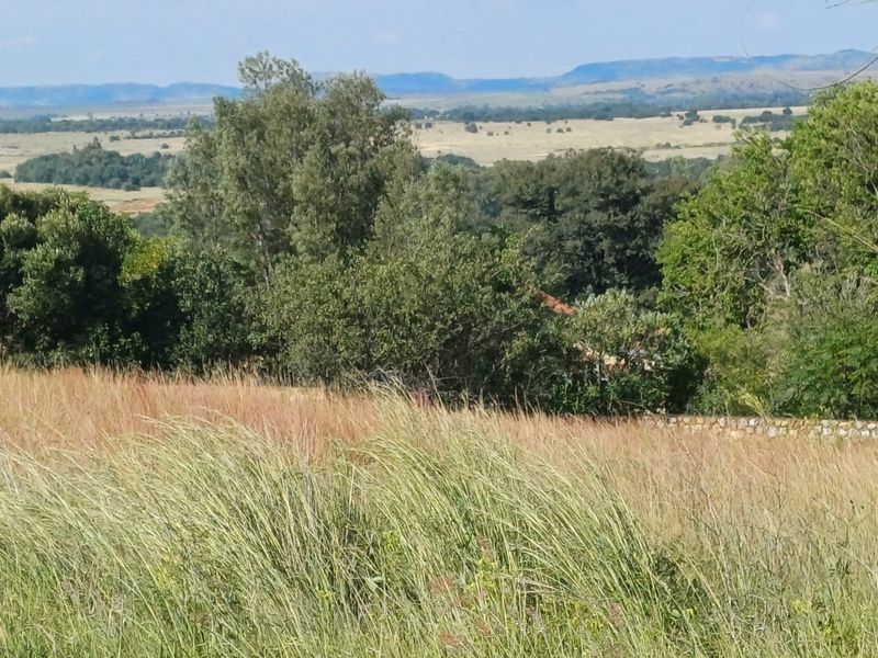 Vacant Stand for Sale – Create the Home You’ve Always Wanted - Photo 2