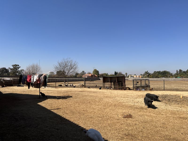 Endless opportunity on this 1.3ha plot. - Photo 10