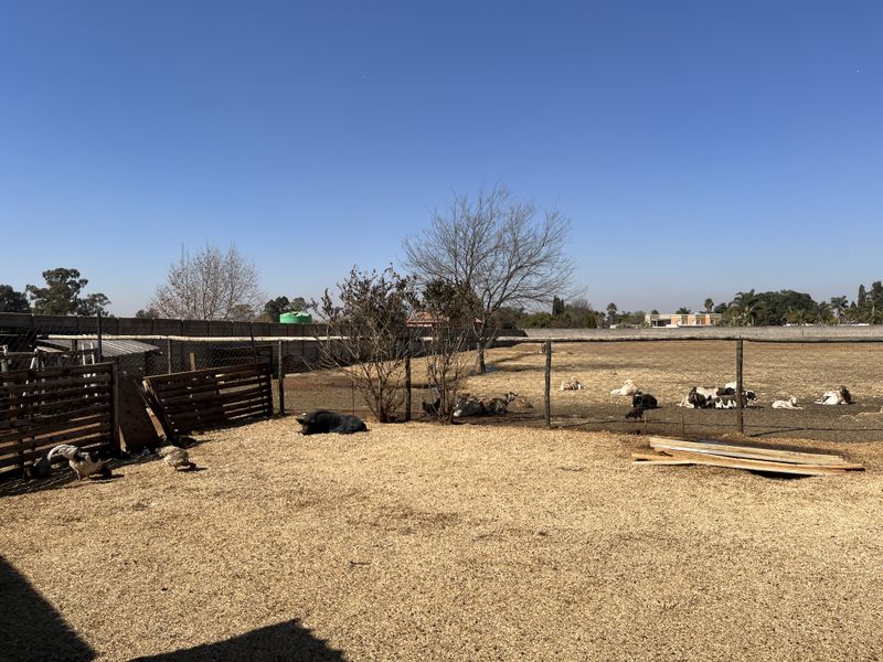 Endless opportunity on this 1.3ha plot. - Photo 9