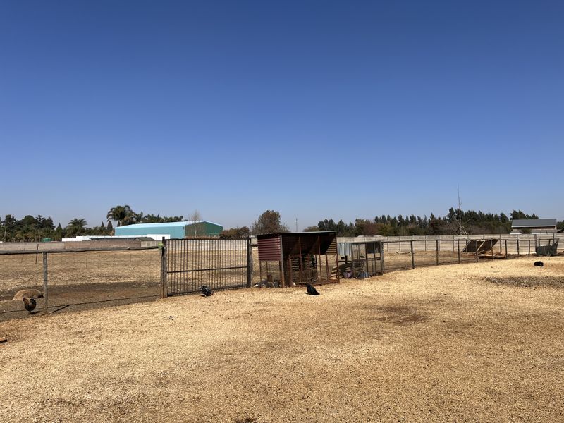 Endless opportunity on this 1.3ha plot. - Photo 8