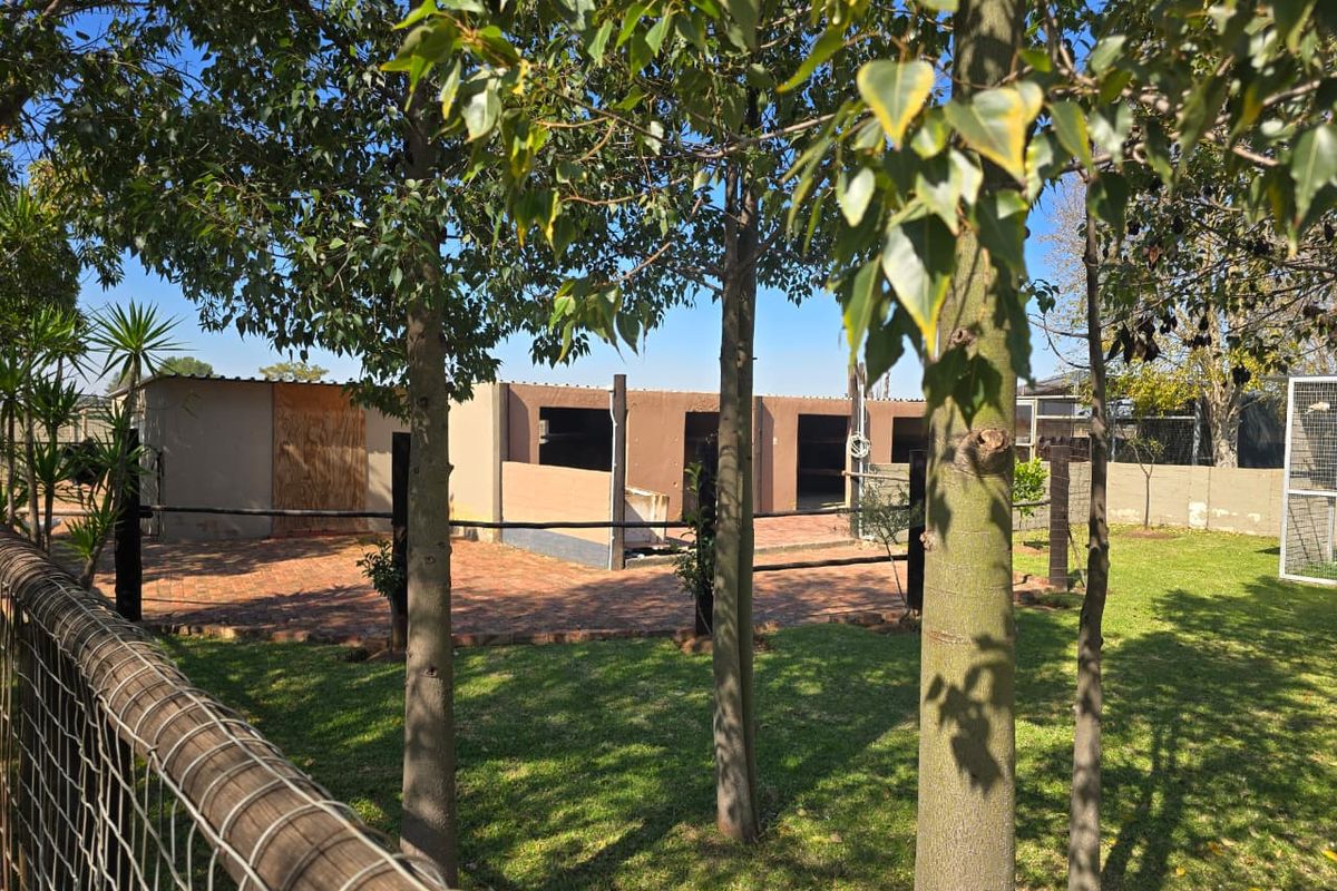 Rear garden area featuring brick paving, established trees, and a structure with visible maintenance requirements.