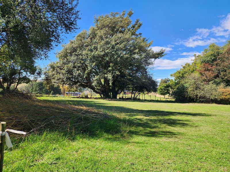 Land For Sale in Nottingham Road - Photo 5