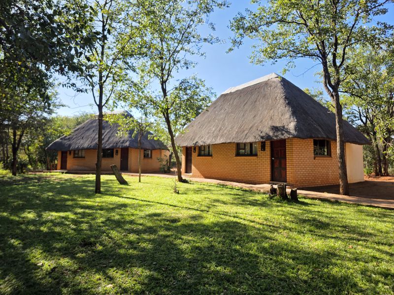 EXCLUSIVE 2 740Ha GAME, HUNTING & CATTLE FARM FOR SALE | LIMPOPO BUSHVELD - Photo 9