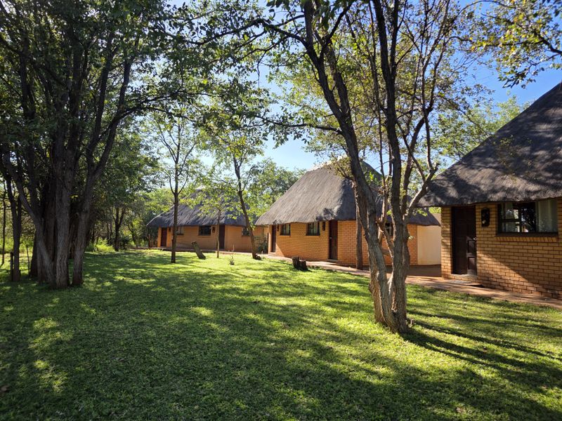 EXCLUSIVE 2 740Ha GAME, HUNTING & CATTLE FARM FOR SALE | LIMPOPO BUSHVELD - Photo 8