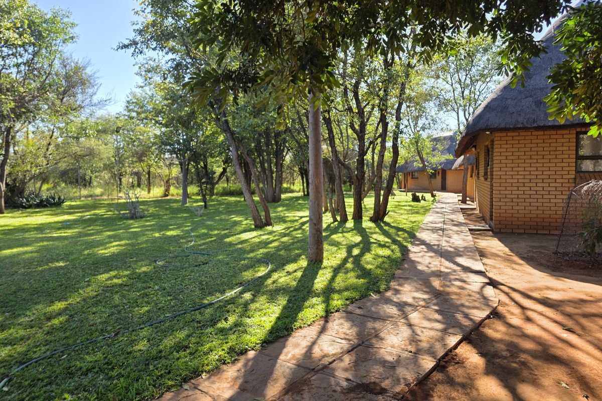 EXCLUSIVE 2 740Ha GAME, HUNTING & CATTLE FARM FOR SALE | LIMPOPO BUSHVELD - Photo 5