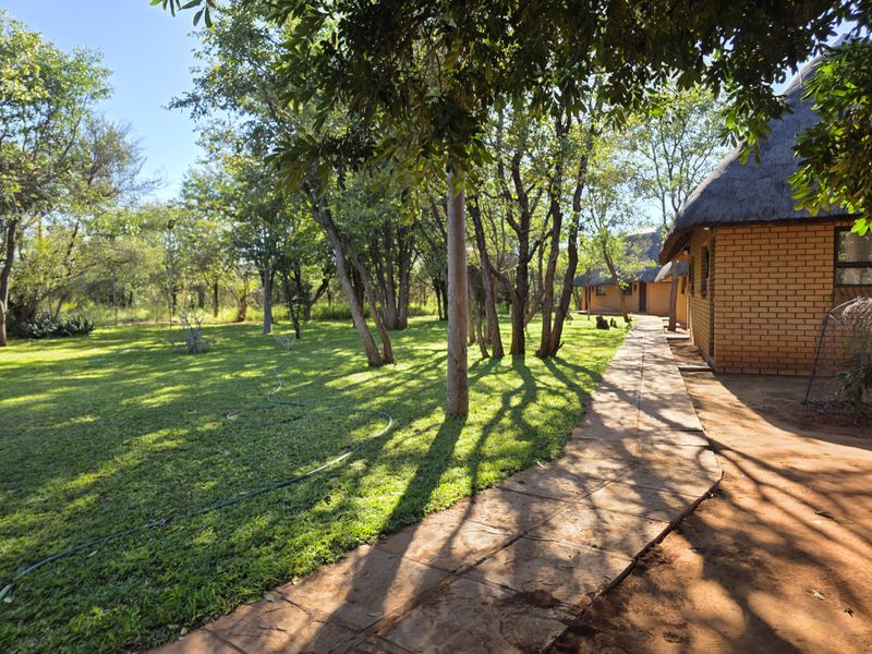 EXCLUSIVE 2 740Ha GAME, HUNTING & CATTLE FARM FOR SALE | LIMPOPO BUSHVELD - Photo 5