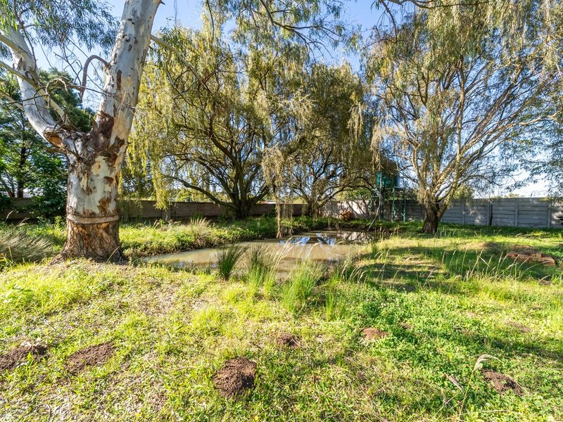 Stunning 4 bedroom plot in Benoni AH with flat and dam. - Photo 7