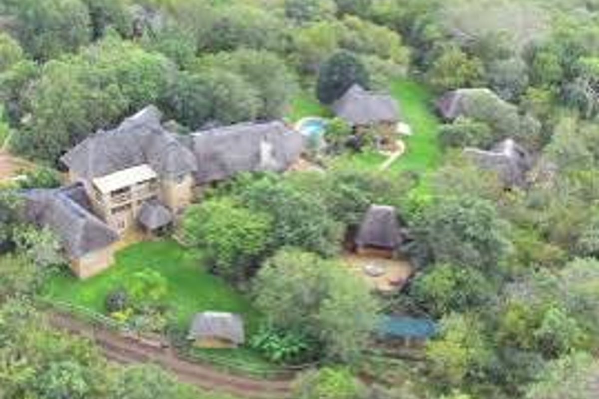 Aerial view of a sprawling farm property featuring multiple thatched-roof structures, lush green gardens, and a swimming pool nestled within a wooded landscape.
