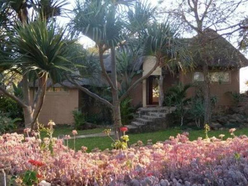 576Ha Game/Cattle & potential Fruit and Crop farm with abundance of water. - Photo 4