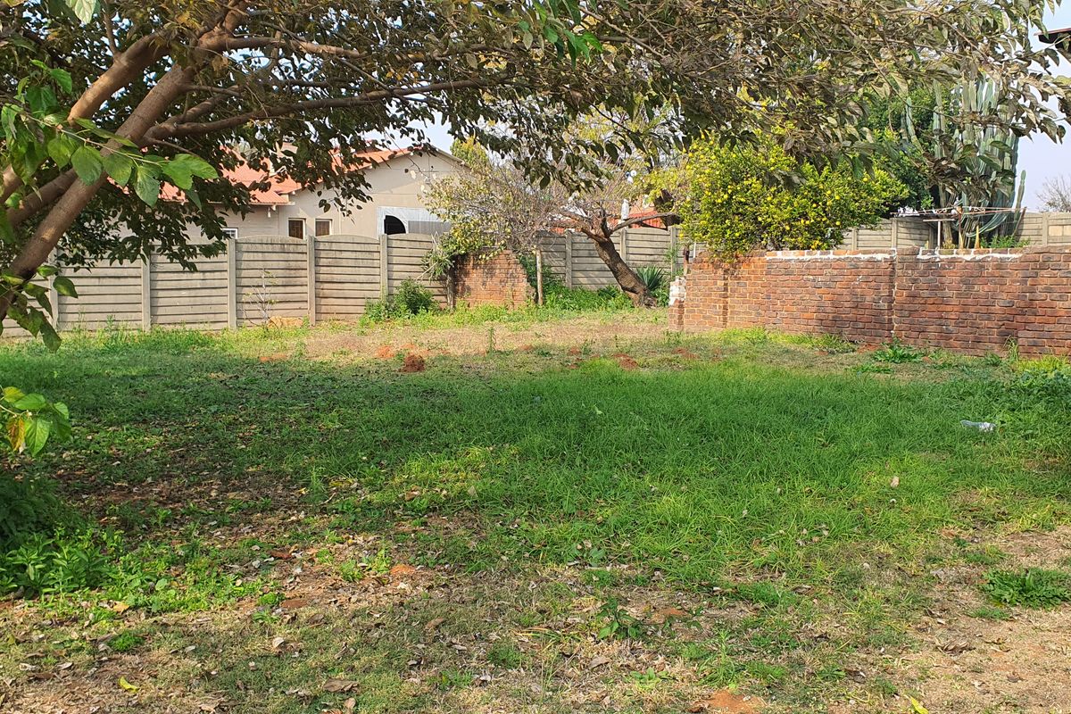 3 bedroom plus flat - Photo 4