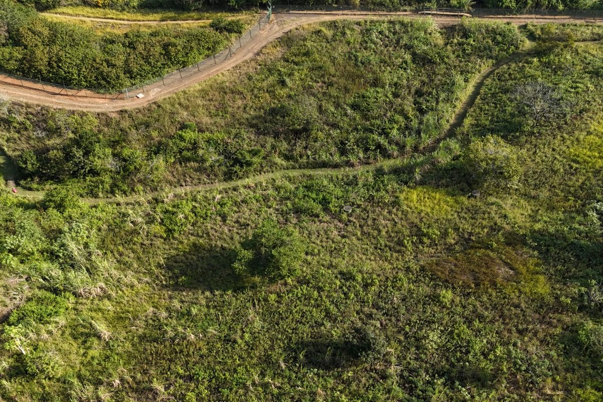 Developer’s Opportunity in Palm Lakes Estate – 8 Prime PUD Sites Near Club Med Development - Photo 4