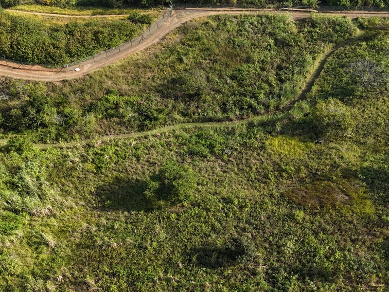 Developer’s Opportunity in Palm Lakes Estate – 8 Prime PUD Sites Near Club Med Development - Photo 4