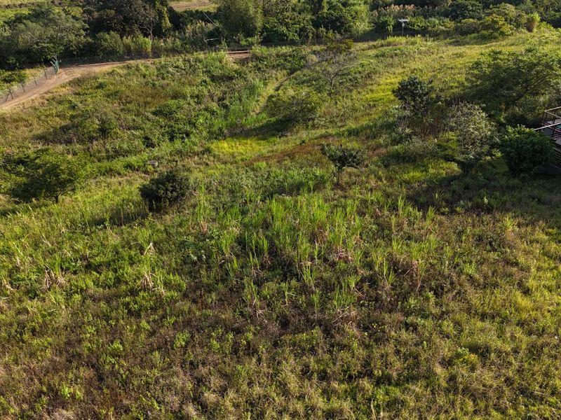 Developer’s Opportunity in Palm Lakes Estate – 8 Prime PUD Sites Near Club Med Development - Photo 9