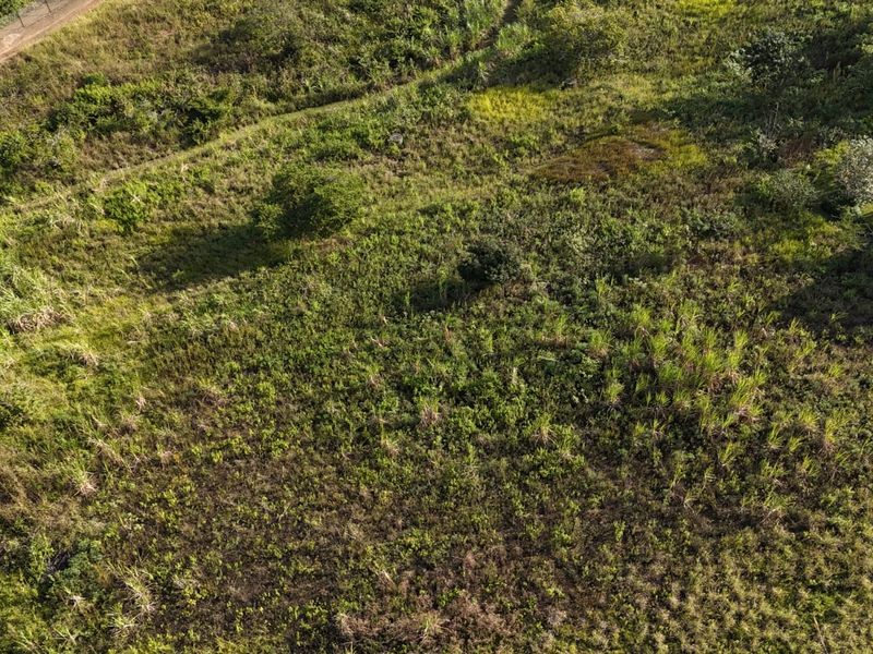 Developer’s Opportunity in Palm Lakes Estate – 8 Prime PUD Sites Near Club Med Development - Photo 7