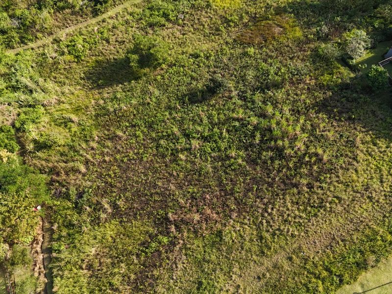 Developer’s Opportunity in Palm Lakes Estate – 8 Prime PUD Sites Near Club Med Development - Photo 6