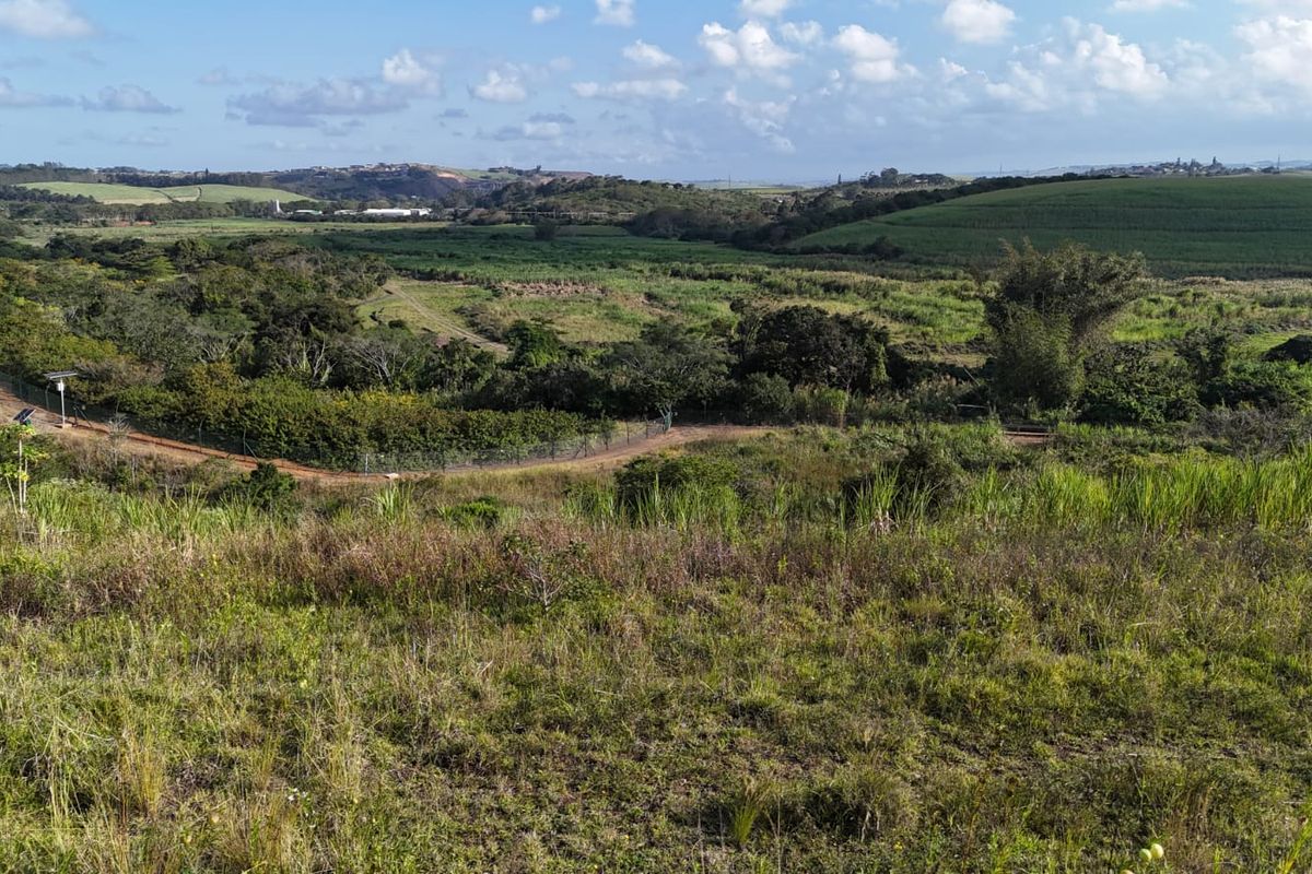 Developer’s Opportunity in Palm Lakes Estate – 8 Prime PUD Sites Near Club Med Development - Photo 2