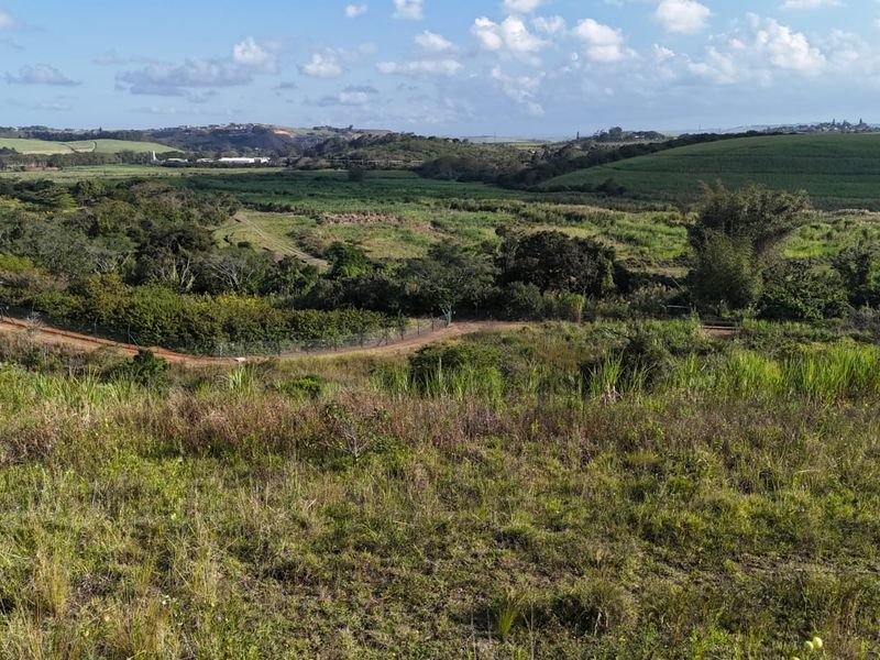 Developer’s Opportunity in Palm Lakes Estate – 8 Prime PUD Sites Near Club Med Development - Photo 2