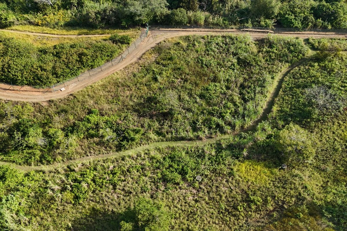 Developer’s Opportunity in Palm Lakes Estate – 8 Prime PUD Sites Near Club Med Development - Photo 3