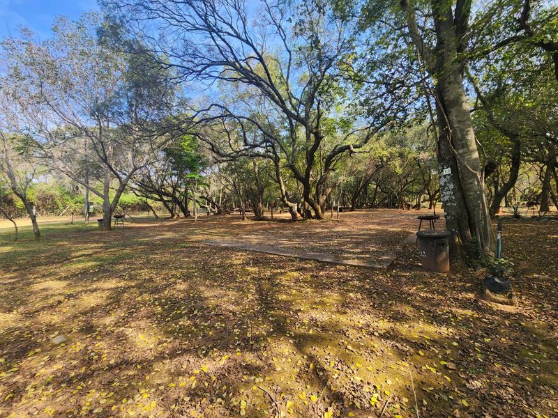 Exceptional farm located between Bela Bela and Modimolle. - Photo 6