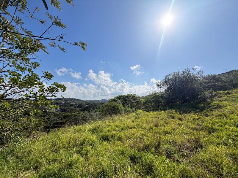 One of Simbithi’s Largest & Most Exclusive Vacant Stands with Dam Views - Photo 3