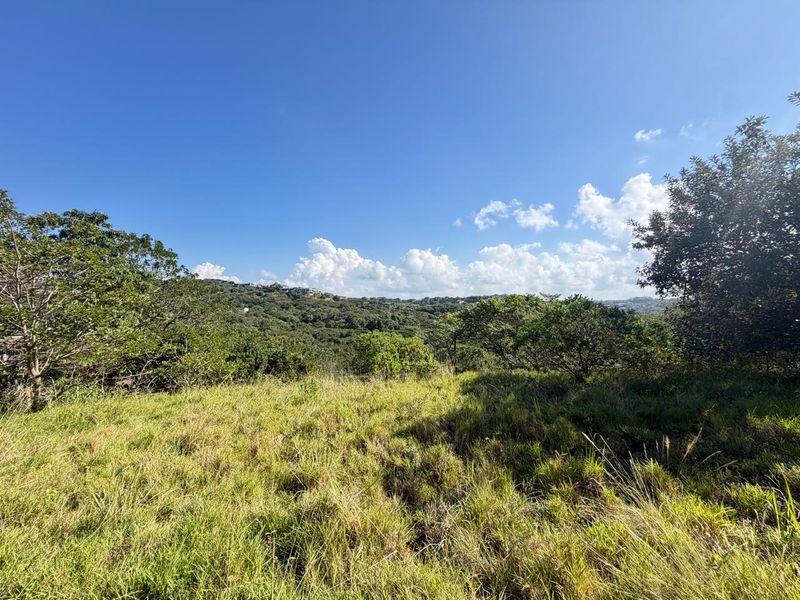 One of Simbithi’s Largest & Most Exclusive Vacant Stands with Dam Views - Photo 5