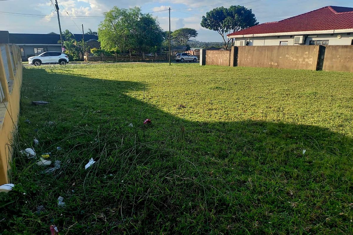 Land For Sale - Photo 3