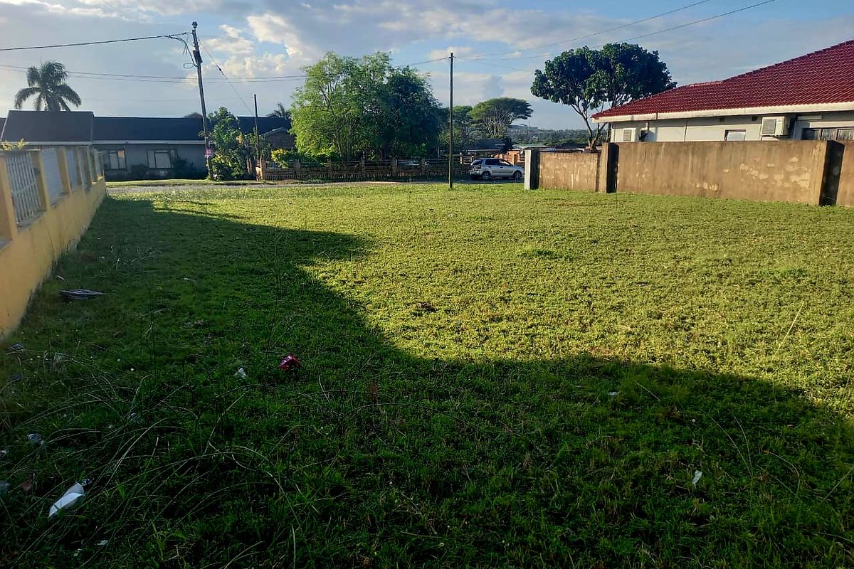 Land For Sale - Photo 2