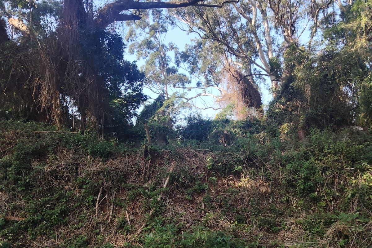 Prime Vacant Land For Sale in Seaton Estate, Ballito - Photo 5