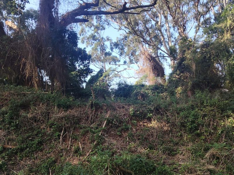 Prime Vacant Land For Sale in Seaton Estate, Ballito - Photo 5